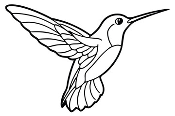 Fototapeta premium Black and White Line Drawing of a Flying Hummingbird with Detailed Wings
