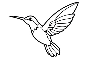 Fototapeta premium Hummingbird in Flight Outline Illustration with Detailed Wing Feathers and Sharp Beak, Simple Design