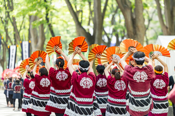 日本の祭り仙台青葉まつり雀踊り大流し
