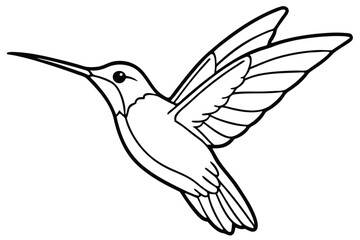 Artistic Line Drawing of a Hummingbird in Flight with Detailed Wing Structure