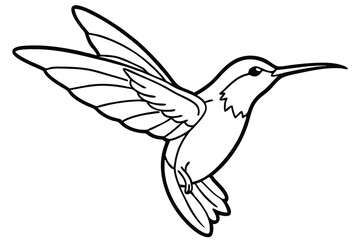 Obraz premium Hummingbird Illustration Line Art Image of Bird with Wings Spread and Long Beak