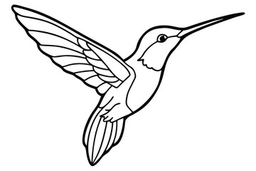 Line Art of a Hummingbird in Flight Displaying Feather Details and Long Beak
