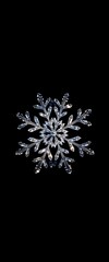 snowflake is shown on a black background