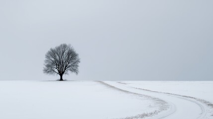 A solitary leafless tree stands beside a winding snowy path under a soft, overcast sky, evoking quiet solitude and serene winter stillness.