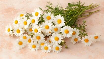 Obraz premium Bouquet of white daisies on a blush-colored surface.