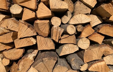 Organized stack of chopped firewood showing bark textures and clean log cuts in warm daylight