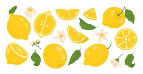Lemon. Yellow citrus fruit. Cartoon whole lemons, sliced halves, lemon pieces and wedges, green leaves, flowers. Fresh juicy plant food for lemonade, vitamin C, juice. Vector set