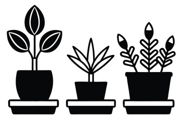 Obraz premium Silhouette pictogram icons of various plants in pots showcasing unique designs and growth stages .