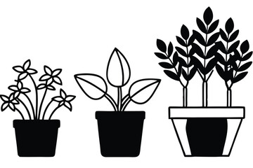 Silhouette pictogram icons of various plants in pots showcasing unique designs and growth stages .