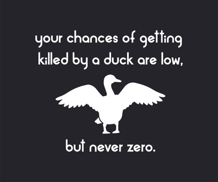 Your chances of getting killed by a duck are low but never zero