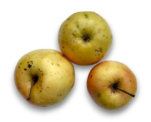 Three organic apples with spotted skin and stems viewed from above isolated on transparent  background