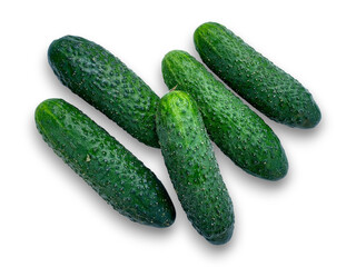 Group of five fresh cucumbers with bumpy skin and water droplets isolated on transparent  background