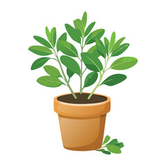 Small Green Plant in Brown Pot