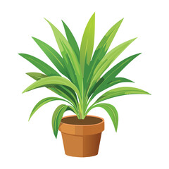 Healthy Green Plant in Brown Pot