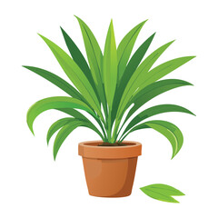 Green Leafy Plant in Terracotta Pot