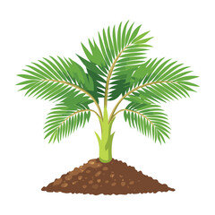 Obraz premium Small Palm Tree Plant Growing in Soil