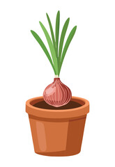 Fresh Red Onion Plant in Brown Pot