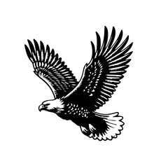 bird, eagle, vector, silhouette, animal, illustration, flying, tattoo, wing, wings, black, fly, nature, feather, falcon, wildlife, hawk, birds, flight, dove, freedom, design, beak, peace, symbol