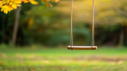 Wooden Swing on a Tree in Autumn Park - Childhood Dream, Nature , Swing