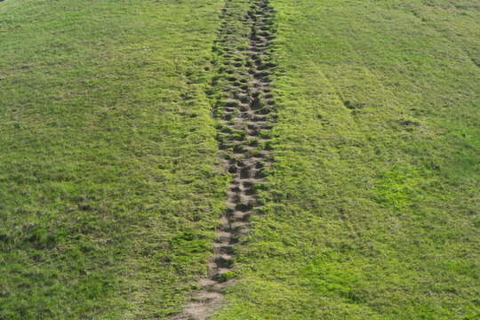  Worn narrow dirt trail on a green grassy hill, view from above. The city's pedestrian infrastructure is poorly planned.