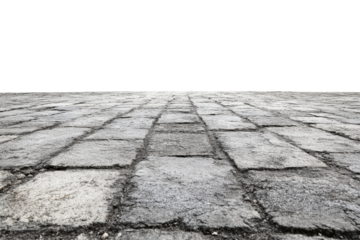 Journey Through the Cobblestones: A weathered cobblestone path leads the eye toward the horizon, a symbol of journey. The textured surface, reflecting light and time.
