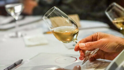 Sommelier evaluating white wine during tasting session