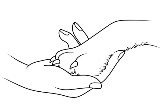 A hand holding a dog's paw, line illustration. Concept of love and care for pets. Logo for animal shelter or veterinary clinic.