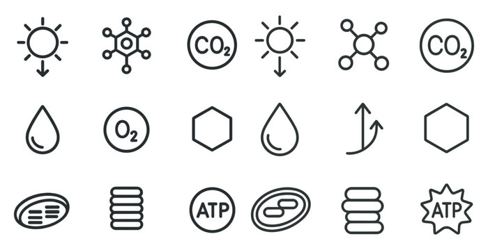 Scientific icons featuring molecules, sun, water drops, and atp symbols for educational use