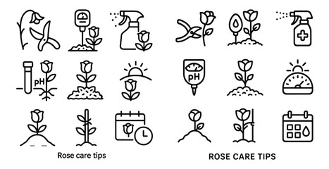 Rose care tips icon set for gardening guides and plant maintenance
