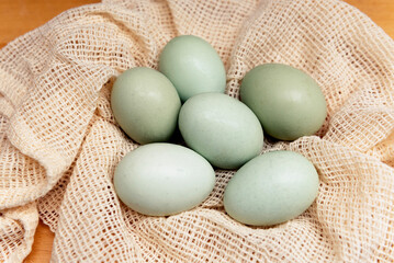Free Range Bluebell Aurancana Eggs