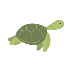 Illustration of Green Sea Turtle