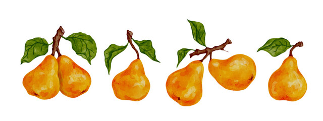 Set of ripe, juicy pears with green foliage. Vector graphics.