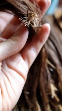 Close-up of human hand holding dry damaged brown hair showing split ends and brittleness against neutral background in natural light