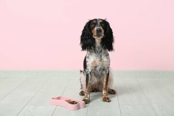 Cute cocker spaniel with feeding bowl near pink wall