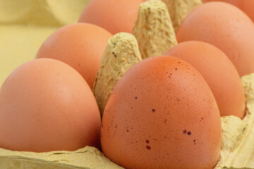 Eggs in a cardboard box macro photo.
