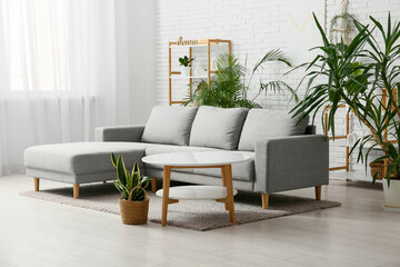 Comfortable sofa, table and different houseplants in interior of light living room