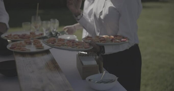 Serveuse tenant 2 plateaux d'amuse-bouches pendant un mariage ensoleill&eacute;