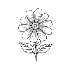 Outline Flower Illustration