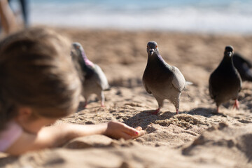 Girl on sandy beach extending hand to feed doves under sunlight near ocean waves. Pigeons standing on sand textured. Background slightly blurred, focus on doves in foreground