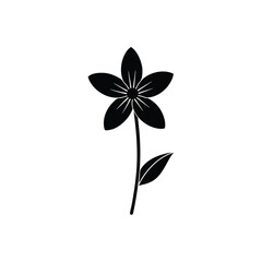 Gaura Flower Vector Black and White Art