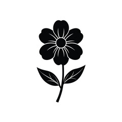 Ursinia Flower Vector Black and White