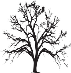 Fototapeta premium Robust Bare Tree Silhouette