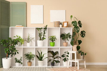 Shelving unit, folding screen and houseplants near beige wall in interior of room, closeup