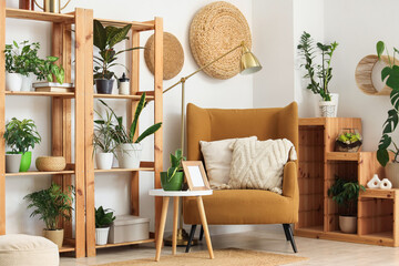 Shelving units, table, armchair and houseplants near white wall in interior of living room, closeup
