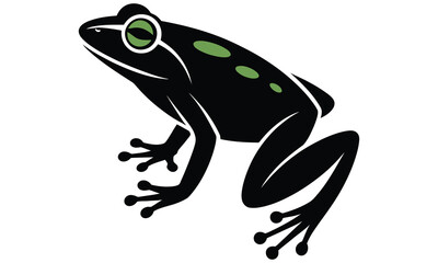 frog on a white background