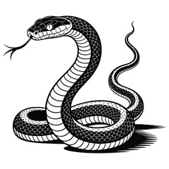 black snake vector illustration