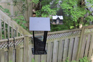 Bird house on a tree and feeder. Food for birds in summer, Animal in the city and birds protection.