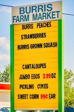 Burris Farm Market in Loxley Alabama