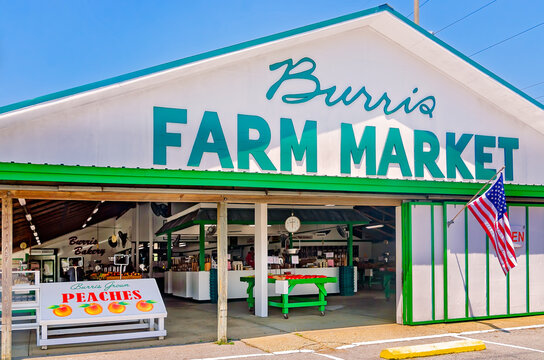 Burris Farm Market in Loxley Alabama