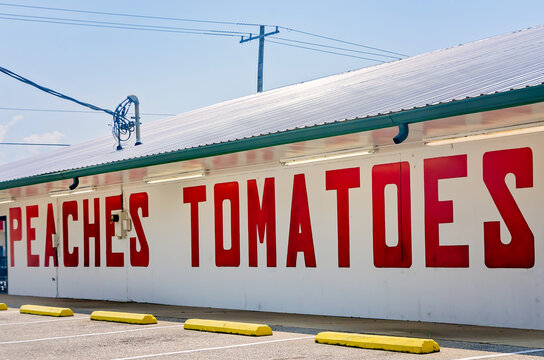 Burris Farm Market in Loxley Alabama